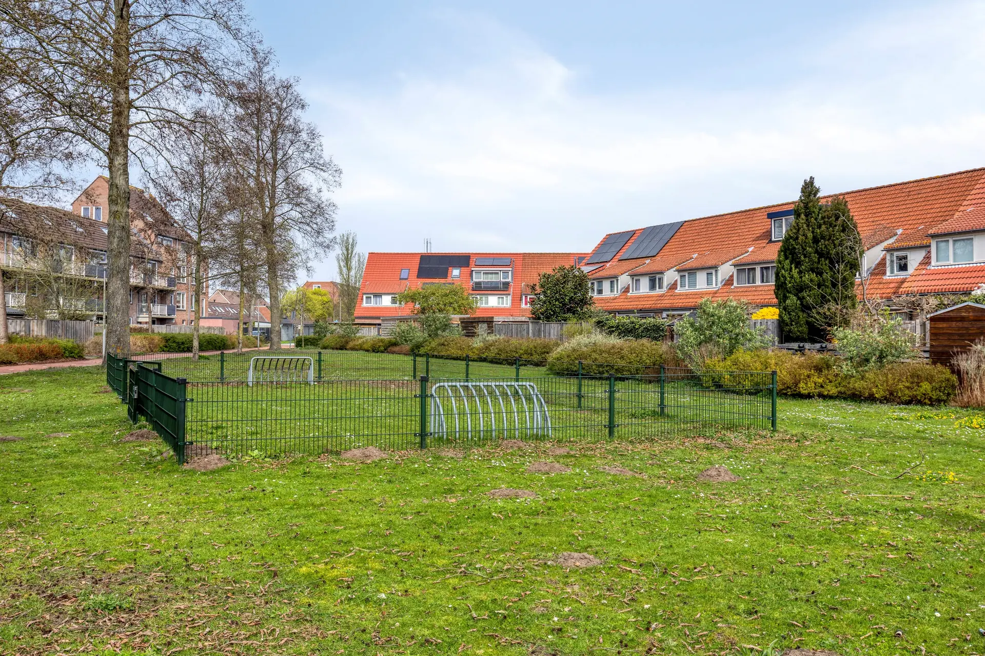 Libellendans 25, foto 53