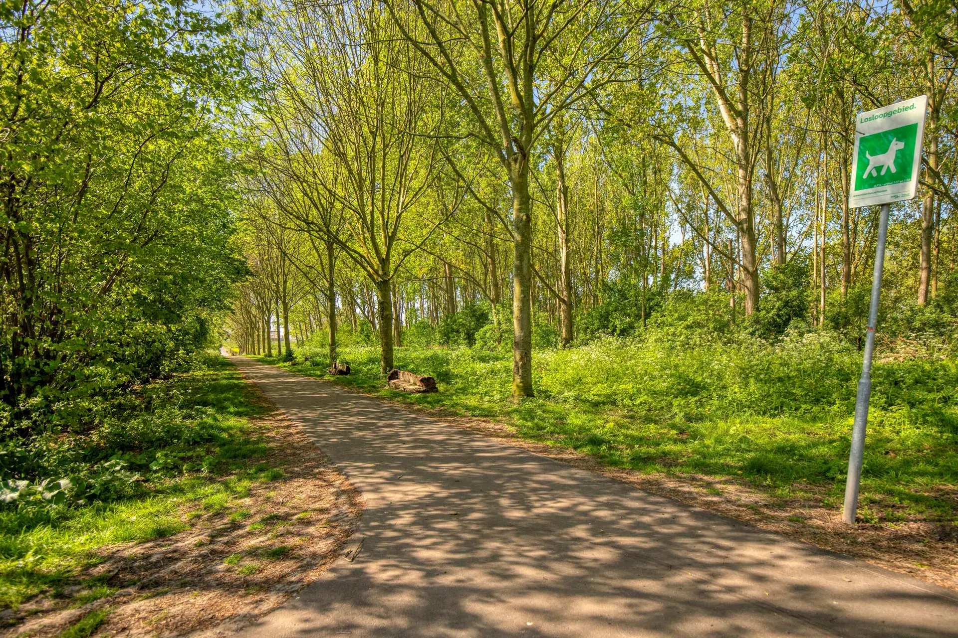 IJsselmondselaan 261, foto 35