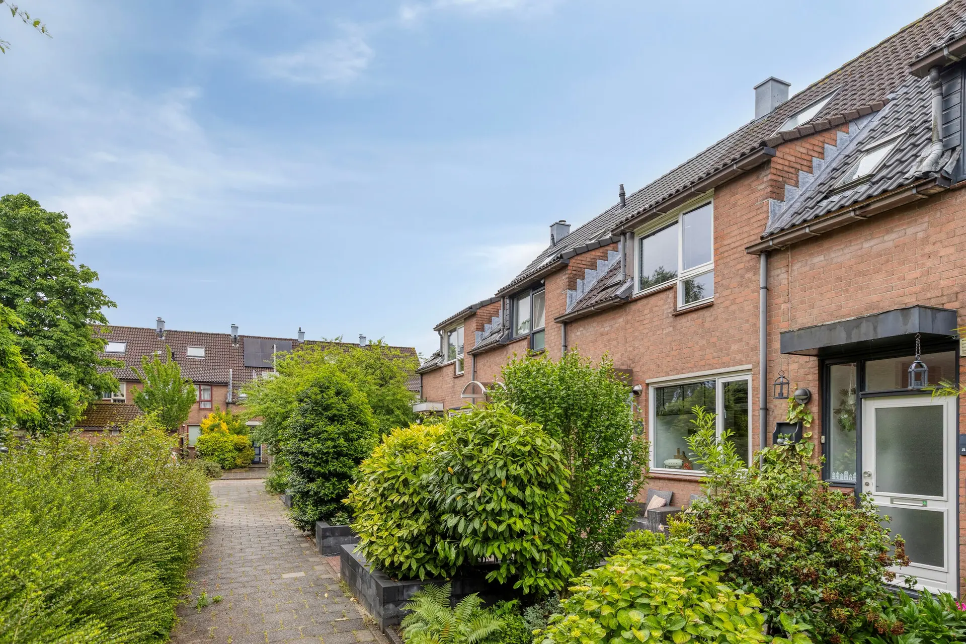 Bas de Blokrede 29, foto 29