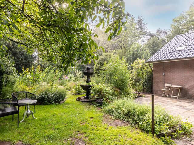 Foto van Fazantbos 10