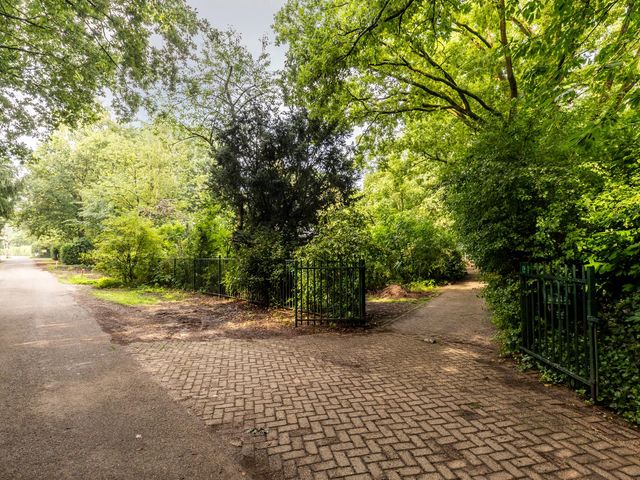 Foto van Fazantbos 10