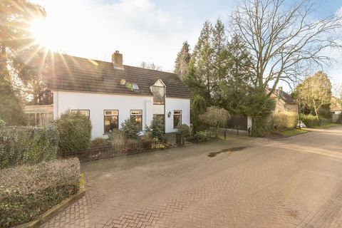 De Schutsboom 4