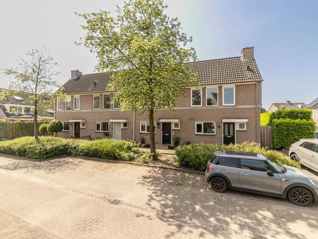Foto van Lijsterbes 5