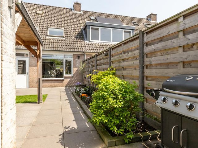 Foto van Lijsterbes 5