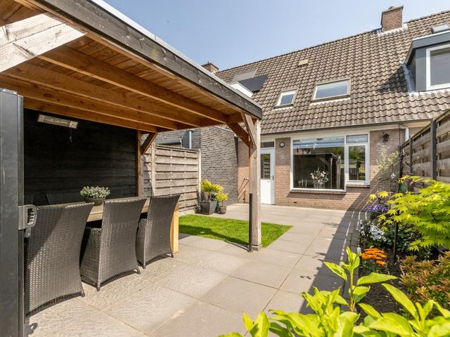 Foto van Lijsterbes 5