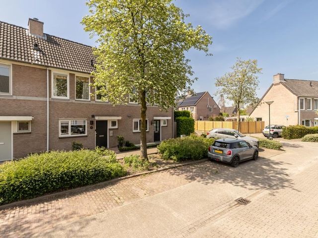 Foto van Lijsterbes 5