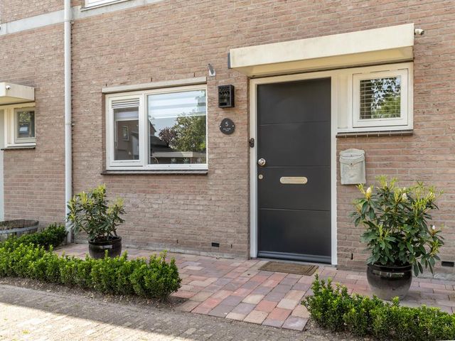 Foto van Lijsterbes 5