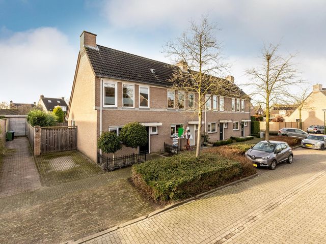 Foto van Lijsterbes 1