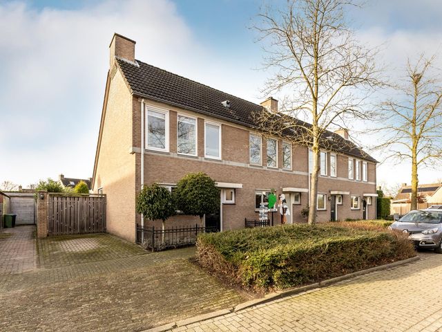 Foto van Lijsterbes 1