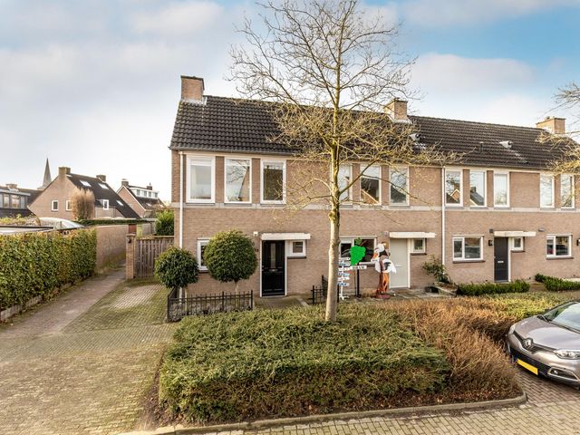 Foto van Lijsterbes 1