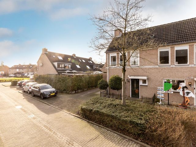 Foto van Lijsterbes 1