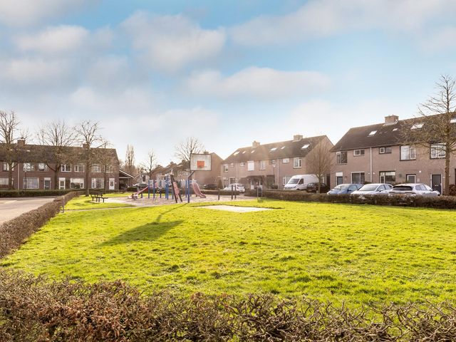 Foto van Lijsterbes 1