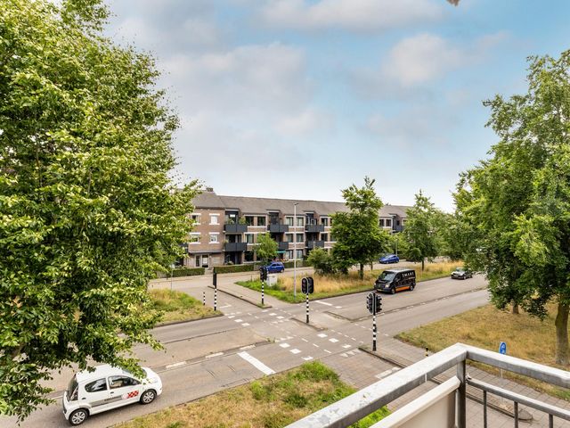 Foto van Majoraan 29