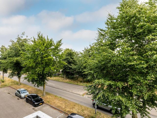 Foto van Majoraan 29