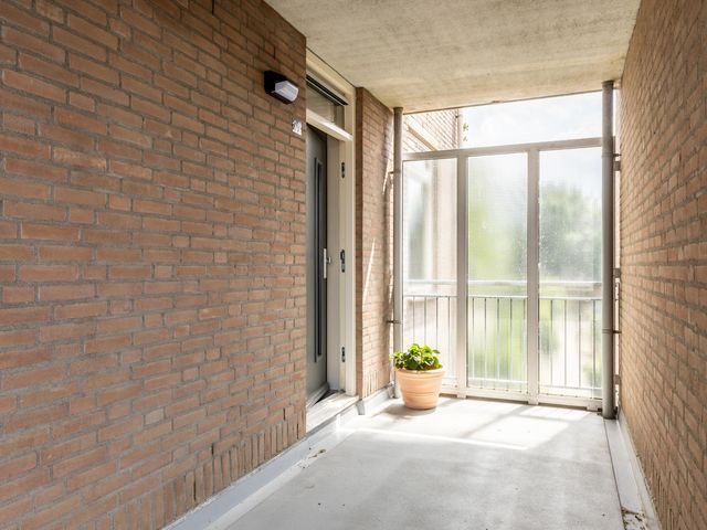 Foto van Majoraan 29