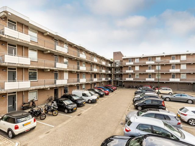 Foto van Majoraan 29