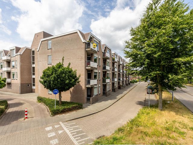 Foto van Majoraan 29