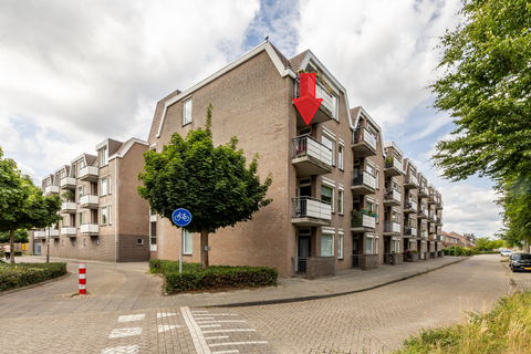 Majoraan 29