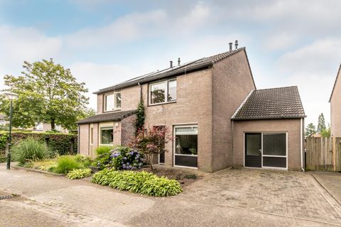 Van de Meerstraat 3