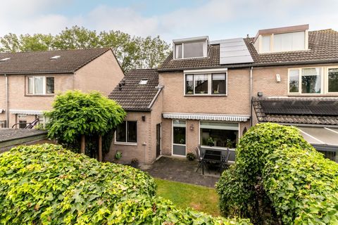 Van de Meerstraat 3