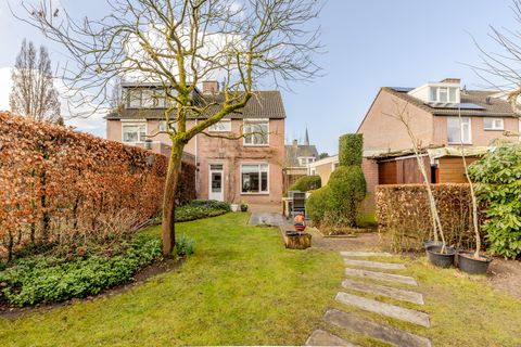Vogelkers 4