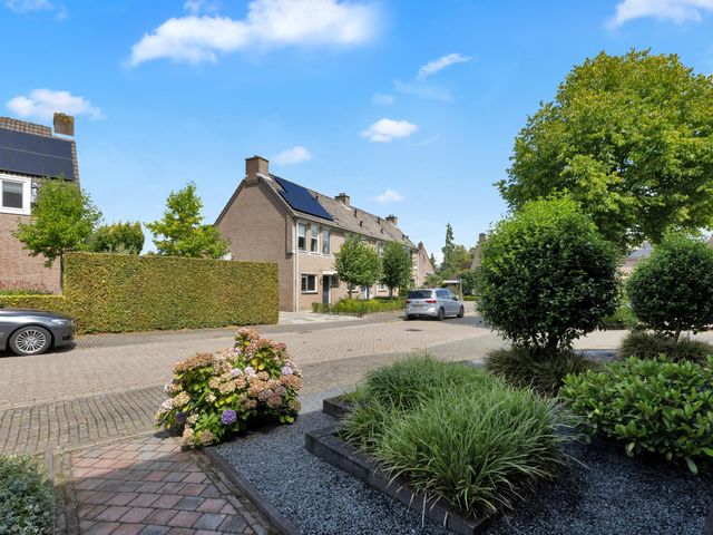 Foto van Sint Janskruid 10