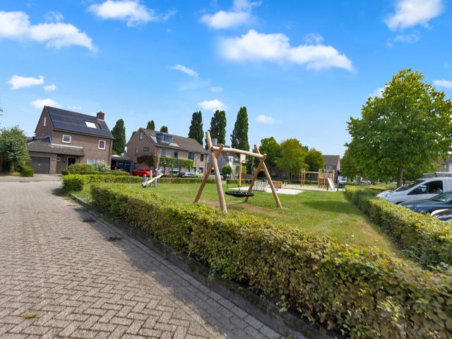 Foto van Sint Janskruid 10