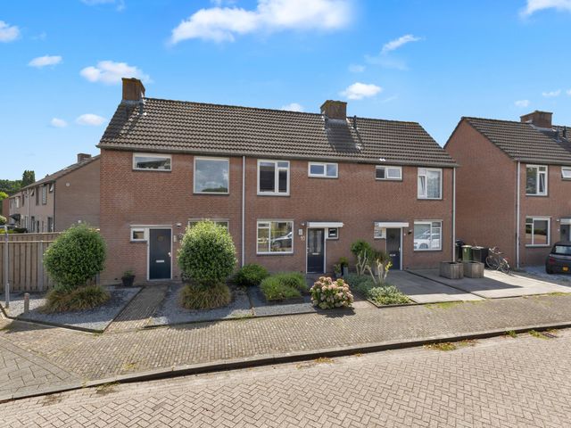 Foto van Sint Janskruid 10