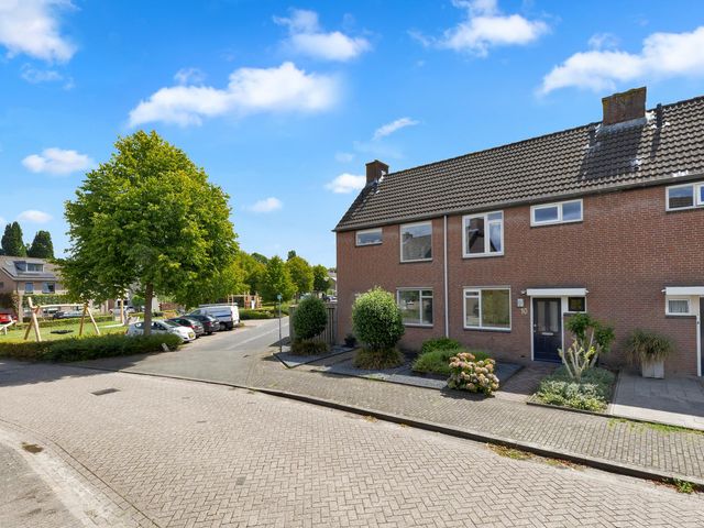 Foto van Sint Janskruid 10