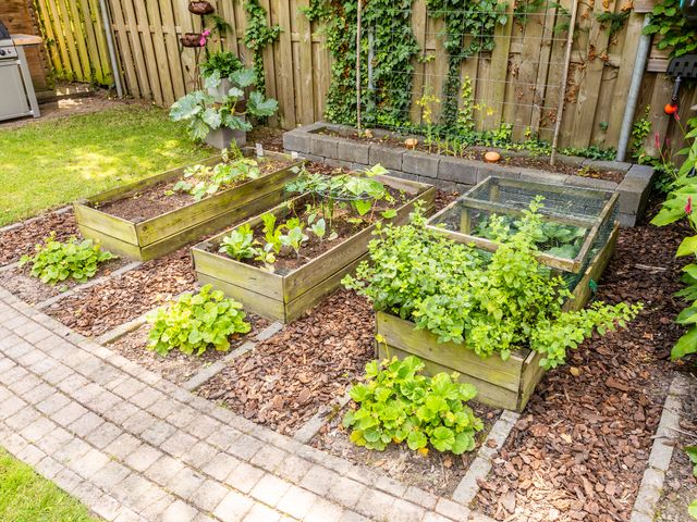 Foto van Burg. Van de Venstraat 15