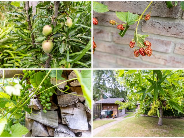 Foto van Burg. Van de Venstraat 15