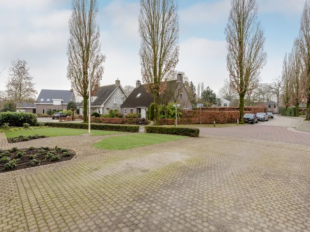 Foto van Broekwal 5