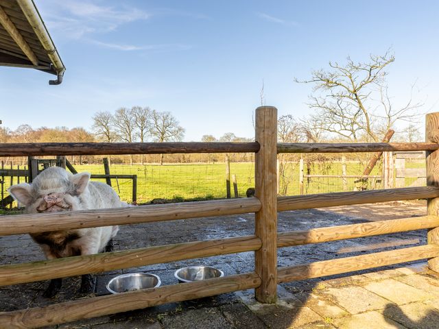 Foto van Udenhoutseweg 25