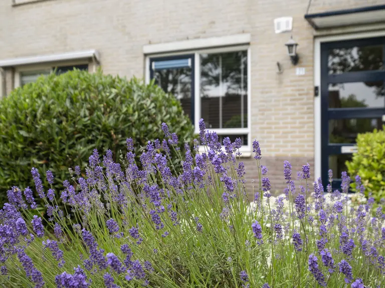 Hooibeemd 21, ASSEN