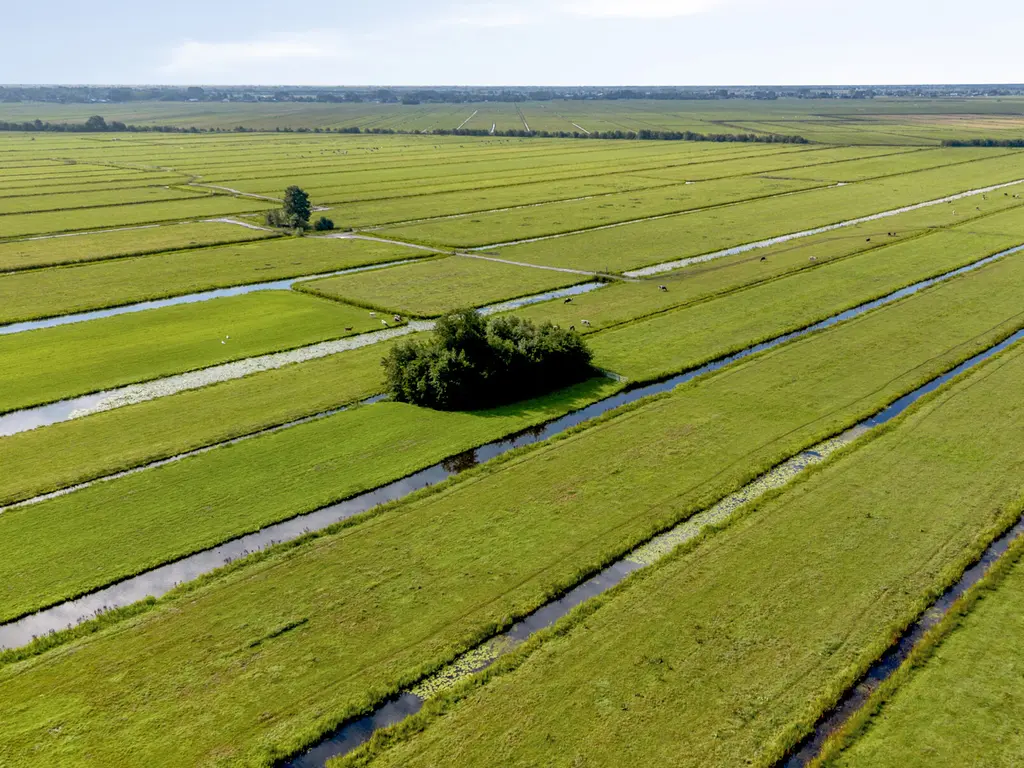 Het Erf 31, ZEGVELD