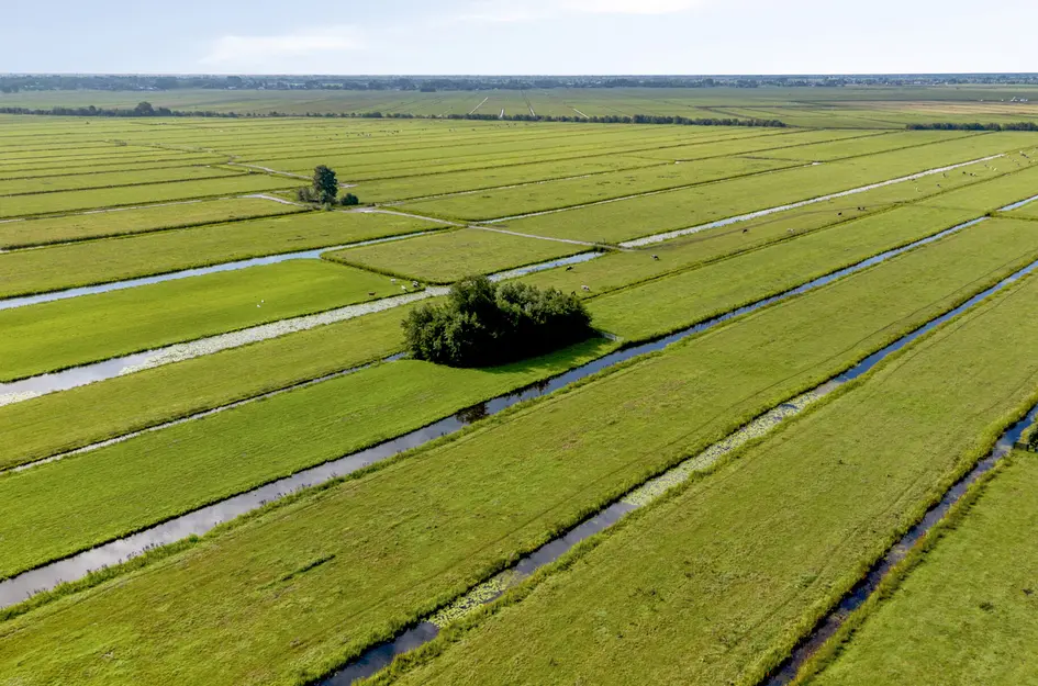 Het Erf 31