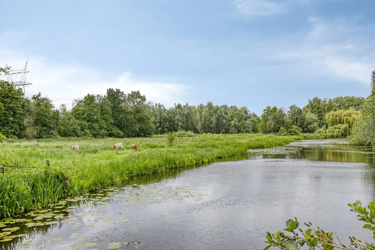 Populierenlaan 203, KRIMPEN AAN DEN IJSSEL