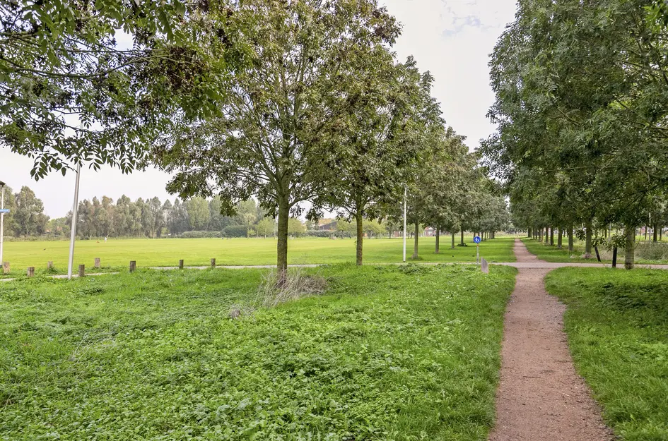 De Schutse 15