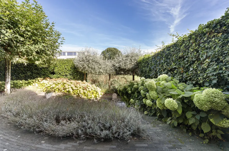 Burgemeester Beelaertspark 143