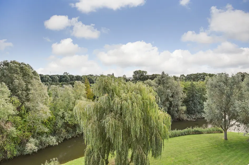 Hovenlaan 77