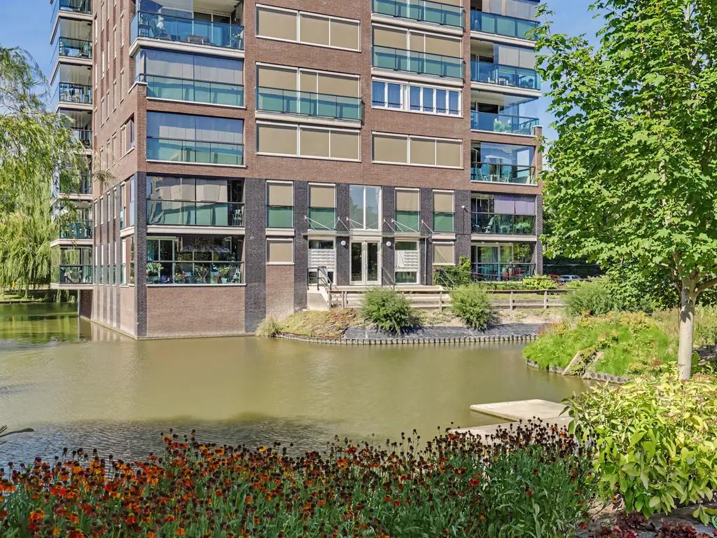Campanula 3 17, DORDRECHT