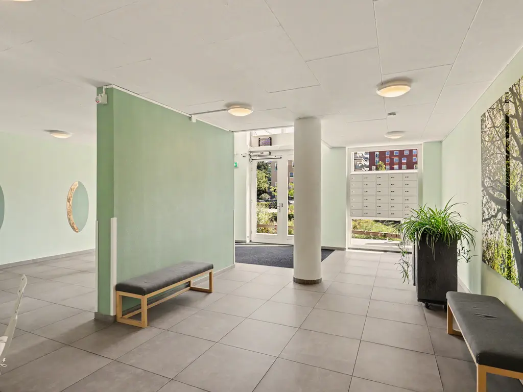 Campanula 3 17, DORDRECHT