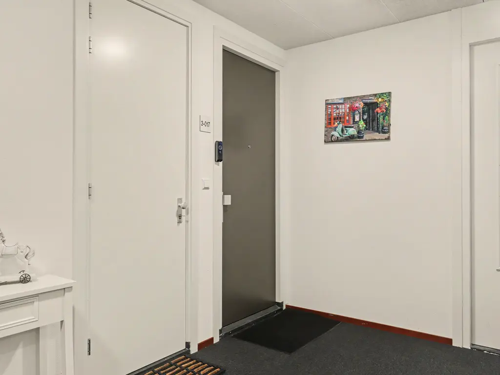 Campanula 3 17, DORDRECHT