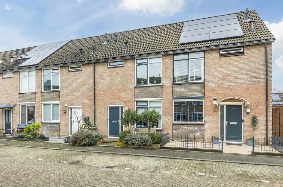 Hermelijn 13