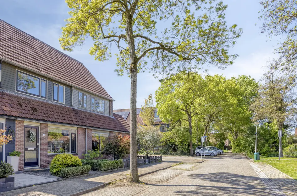 Steenhouwer 2