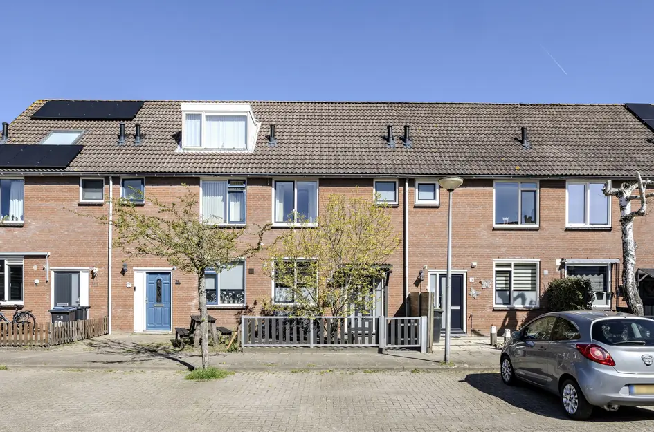 Oranjetip 16