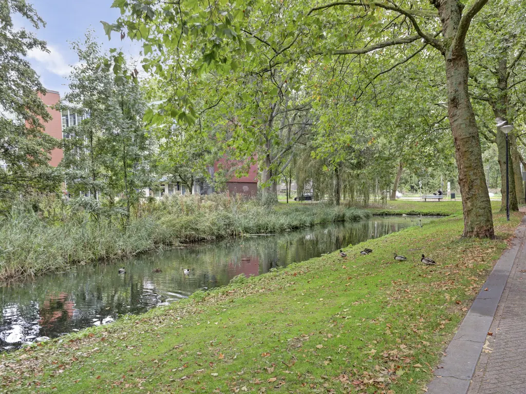 Jozef Oreliosingel 9, SCHIEDAM