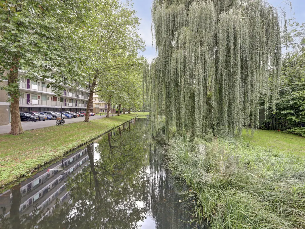 Jozef Oreliosingel 9, SCHIEDAM