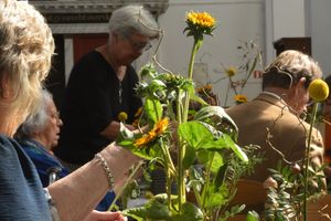 20260906-zonnebloem-in-beeld.JPG