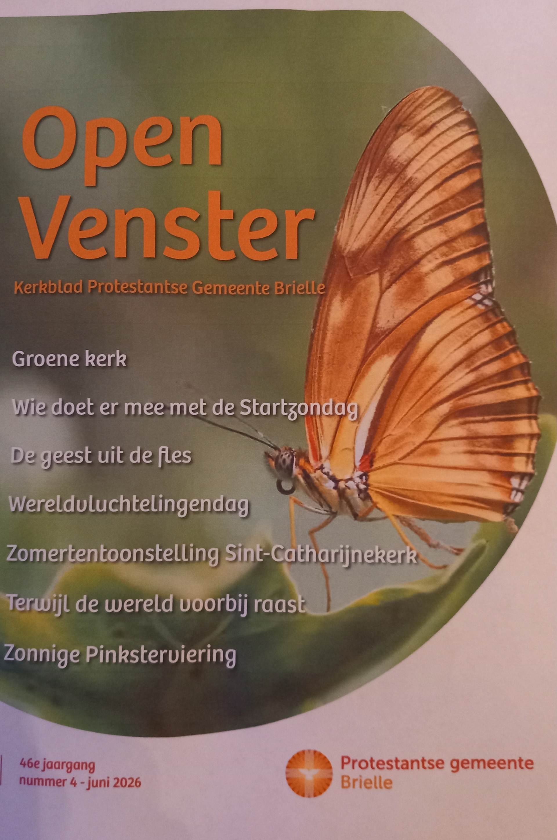 20260602_WebVlinder.jpg